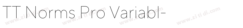 TT Norms Pro Variabl字体转换